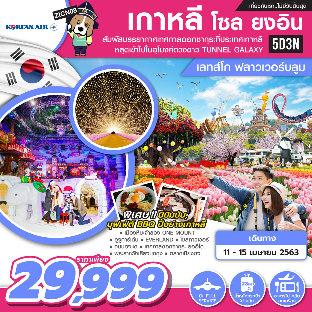 ทัวร์เกาหลี เกาหลี โซล ยงอิน เลทส์โก ฟลาวเวอร์บลูม 5วัน3คืน (APR20)(ZICN08)